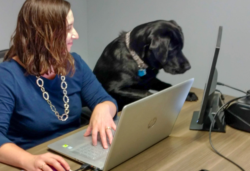 A woman works on a laptop at a desk while her black dog sits beside her and looks at a computer monitor, exploring new opportunities in remodeling careers.